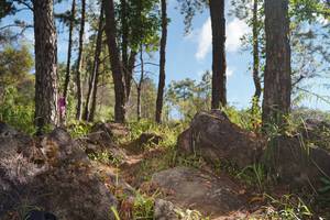 BIB: 
                            <button type="button" onclick="openModal(18941100)" class="btn btn-primary btn-sm float-right btn-popup" data-toggle="modal" data-target=".modal-high-quality">
                        <i class="fas fa-shopping-cart"></i> Add to Cart
                    </button>
                                            <button type="button" onclick="isThisMe(18941100, true)" class="btn btn-success btn-sm float-right btn-popup btn-isme hidden" data-toggle="tooltip" data-placement="bottom" title="นี่คือรูปของคุณใช่ไหม คลิกที่นี่เพื่อเอาเข้าอัลบั้ม">
                        <i class="fas fa-plus"></i> Add to album
                    </button>
                    <button type="button" onclick="isThisMe(18941100, false)" class="btn btn-warning btn-sm float-right btn-popup btn-isnotme hidden">
                        <i class="fas fa-ban"></i> Remove from album
                    </button>